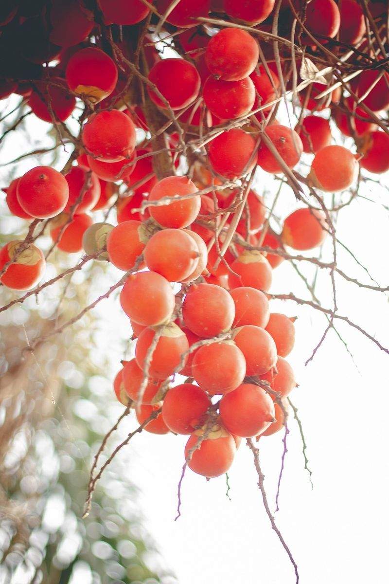 EffizienzWerk GmbH - Image 12