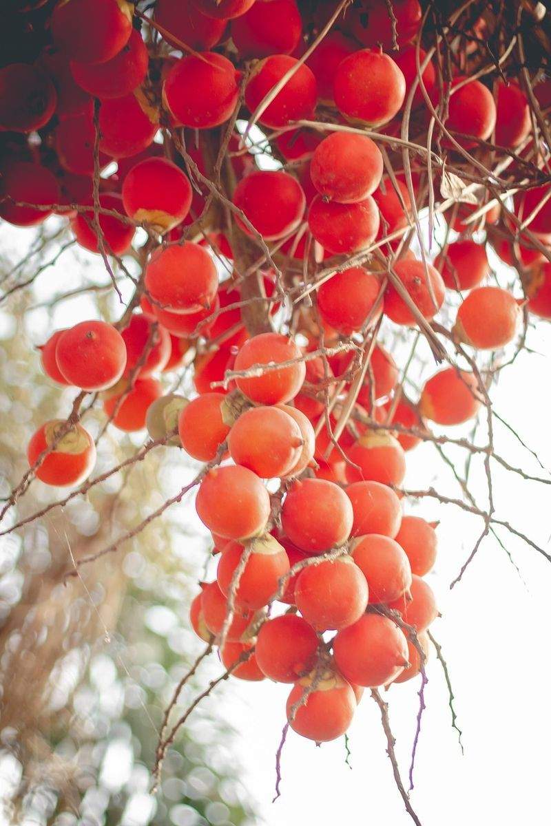 EffizienzWerk GmbH - Image 5